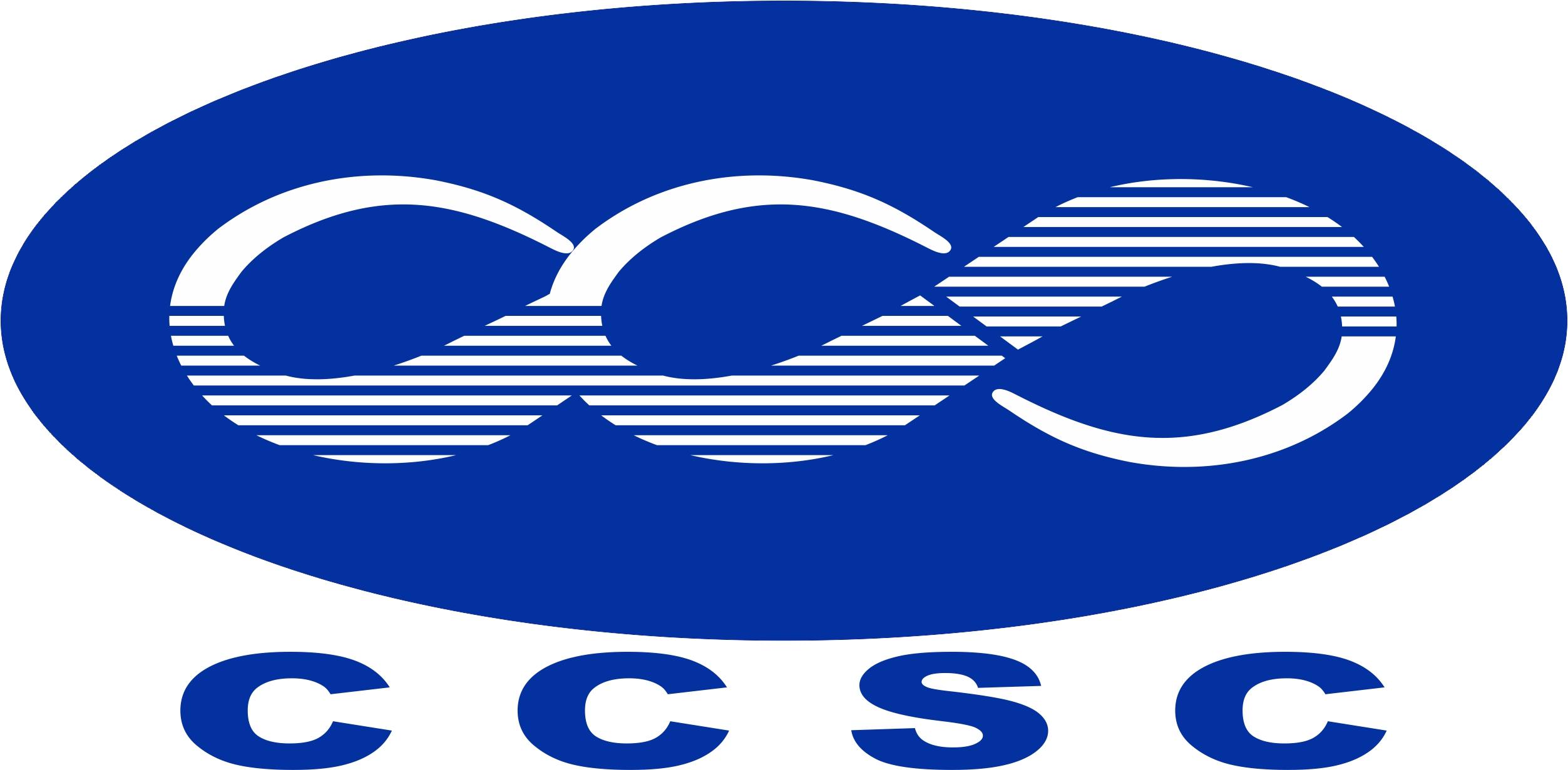 Statement on the only official website of CCSC Interconnect Technology Limited